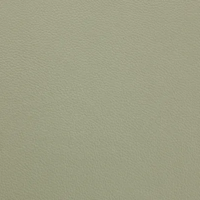 Shelly Thyme Green swatch