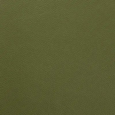 Shelly Mountain Tree swatch