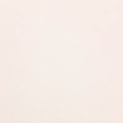 Shelly Seely swatch
