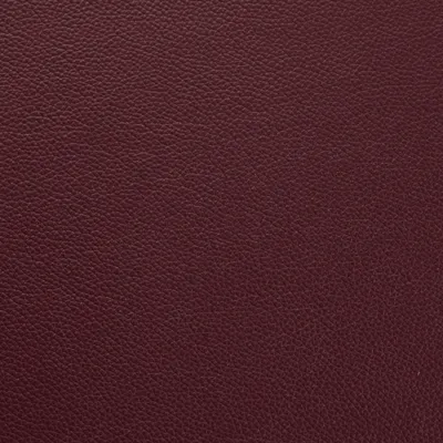 Shelly Philly swatch