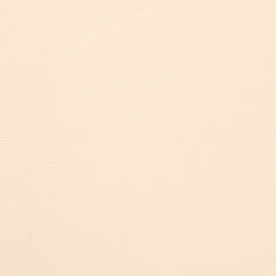 Shelly Ricemilk swatch
