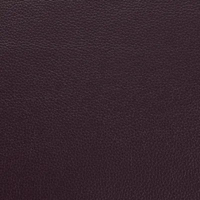 Shelly Blueberry Crush swatch
