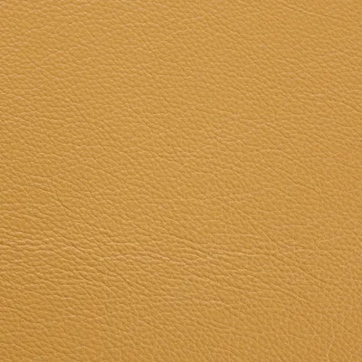 Shelly Mustard Seed swatch
