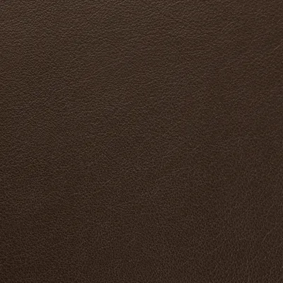 Vele Bracken swatch