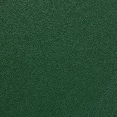Vele Bottle Green swatch