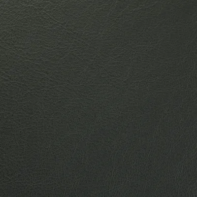 Vele Charcoal Grey swatch