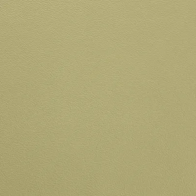 Vele Pistacchio swatch