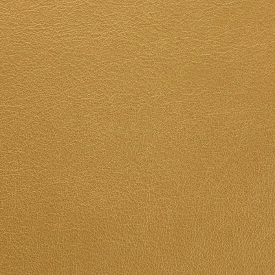 Vele Metallic Gold swatch