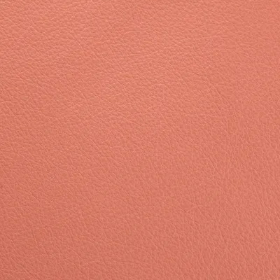 Vele Visage swatch