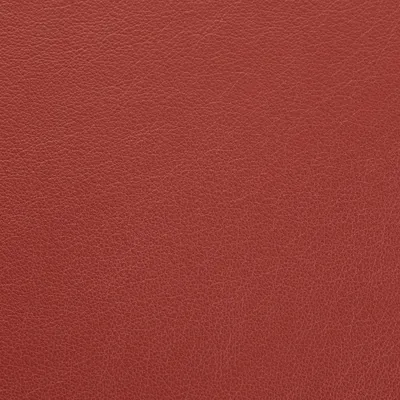 Vele Burnt Rouge swatch