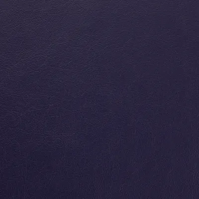 Vele Royal Blue swatch