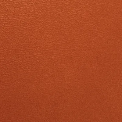 Vele Tan swatch