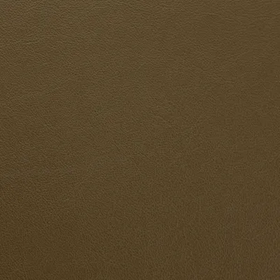 Vele Terrapin swatch