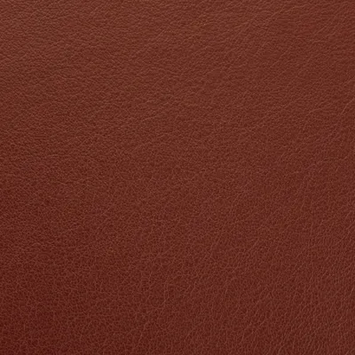 Vele Brunastra swatch