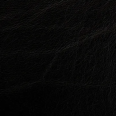 Siena Black swatch