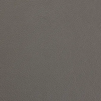 Siena Light Grey swatch