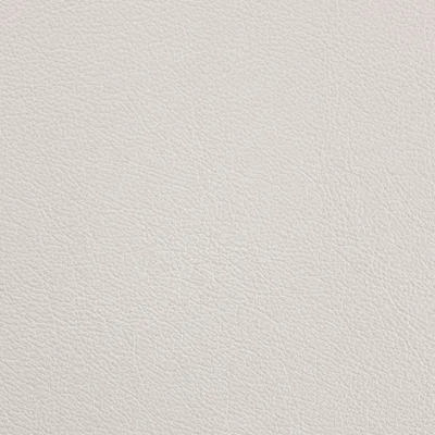 Siena Snow swatch