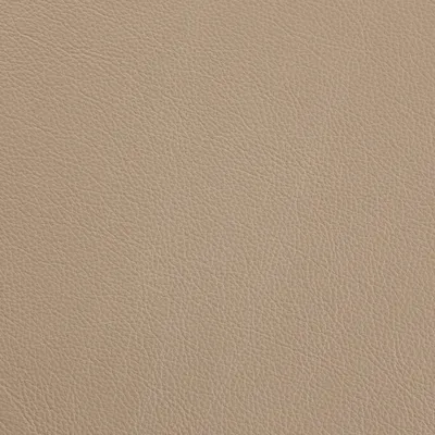 Siena Beige swatch