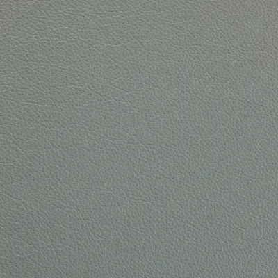 Siena Mist swatch