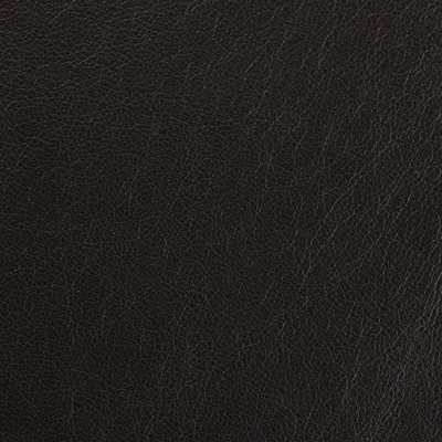 Siena Steel swatch