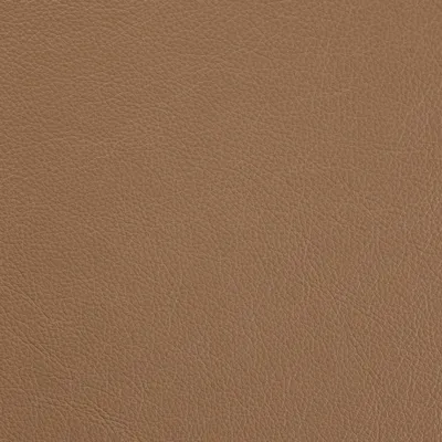 Siena Cafe Latte swatch