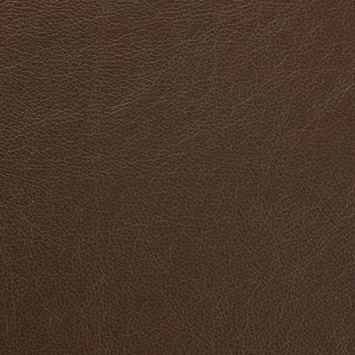 Siena Dark Stone swatch
