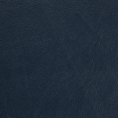 Siena Blue swatch