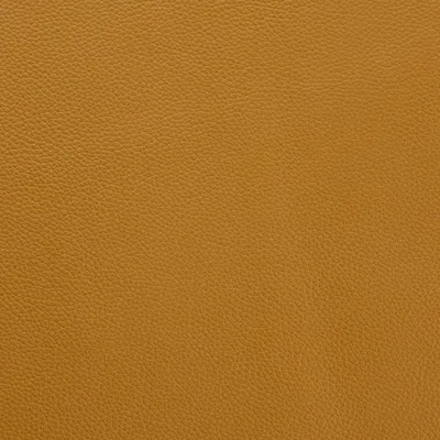 Mopane Parchment swatch