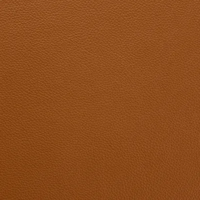 Mopane Saddle swatch