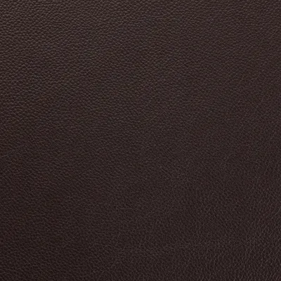 Mopane Dark Chocolate swatch