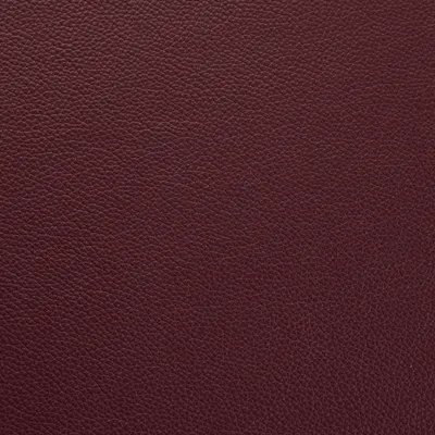 Mopane Philly swatch