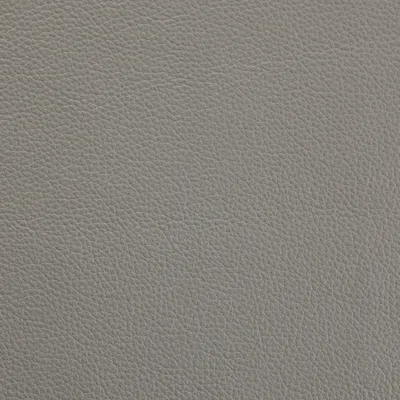 Mopane Seal Grey swatch