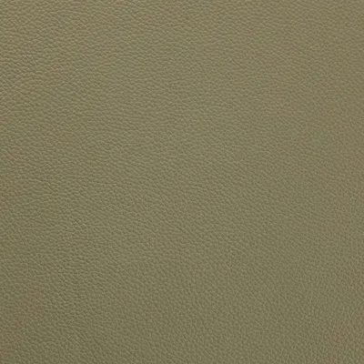 Mopane Thyme Green swatch