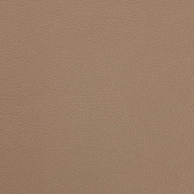 Mopane Oyster swatch