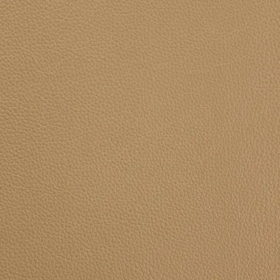 Mopane Mushroom swatch