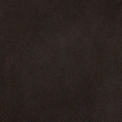 Mopane Tt Dark Grey swatch