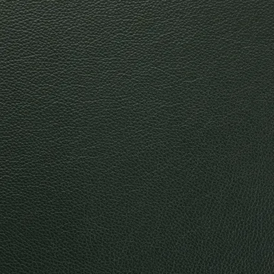 Mopane Tt Forest Green swatch