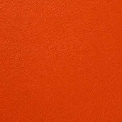 Mopane Flamenco swatch