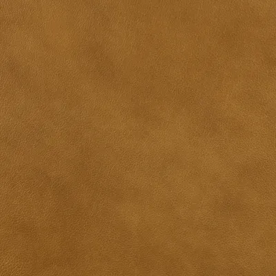 Mission Butterscotch swatch