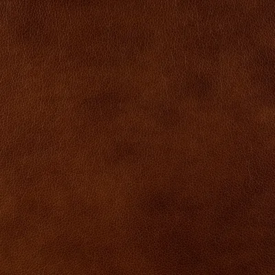 Mission Cognac swatch