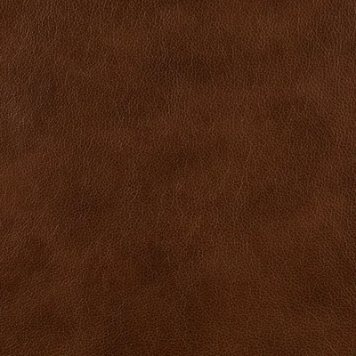 Mission Nutmeg swatch