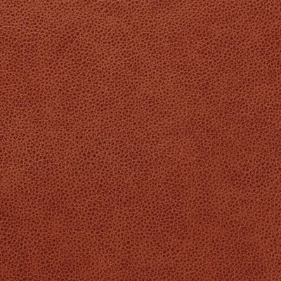 Cambridge Derby swatch
