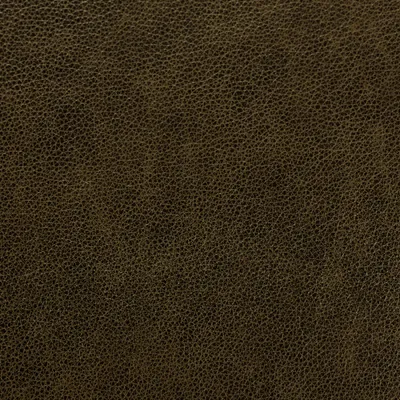 Cambridge Forest swatch