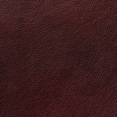 Cambridge Ruby swatch