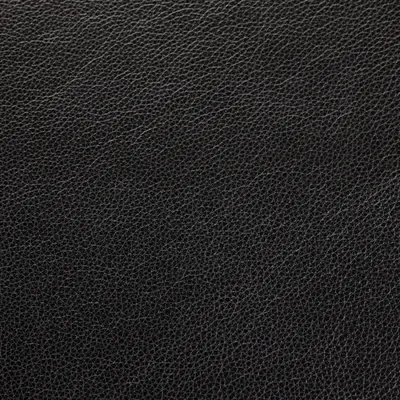 Cambridge Anthracite swatch