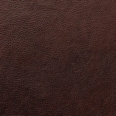 Cambridge Chocolate swatch