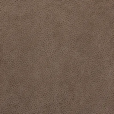 Cambridge Mushroom swatch