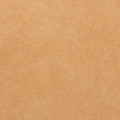Cambridge Sand swatch