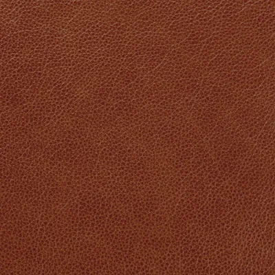 Cambridge Lark swatch