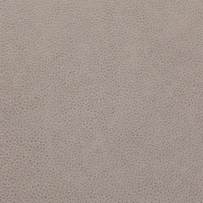 Cambridge London Fog swatch